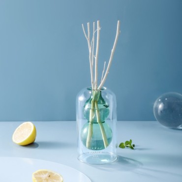 FRAGRANCE DIFFUSER, XY100-12