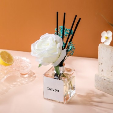 FRAGRANCE DIFFUSER, XY50-F462068-H